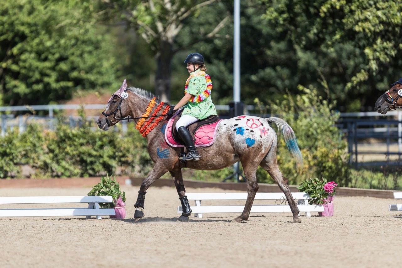 Bild 49 - Pony Akademie Turnier